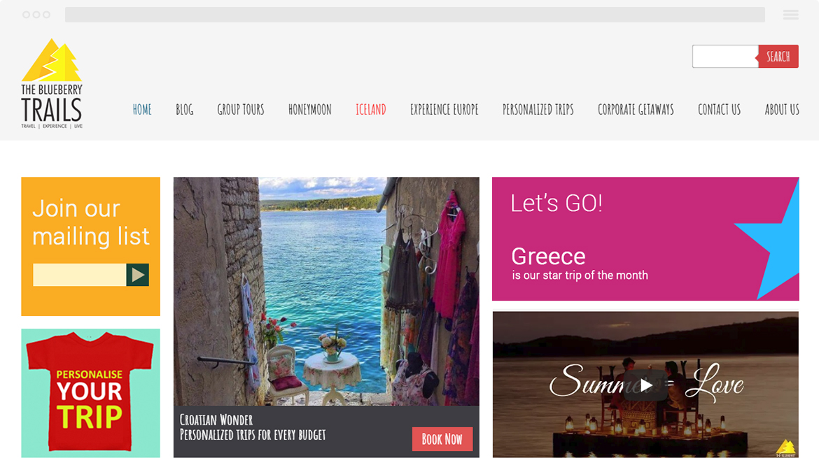 BlueBerry Trails website development