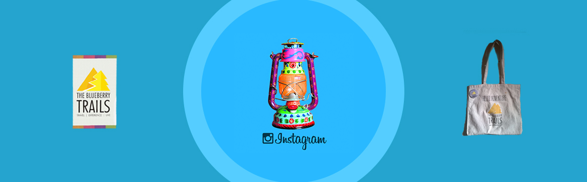 BlueBerry Trails Instagram marketing