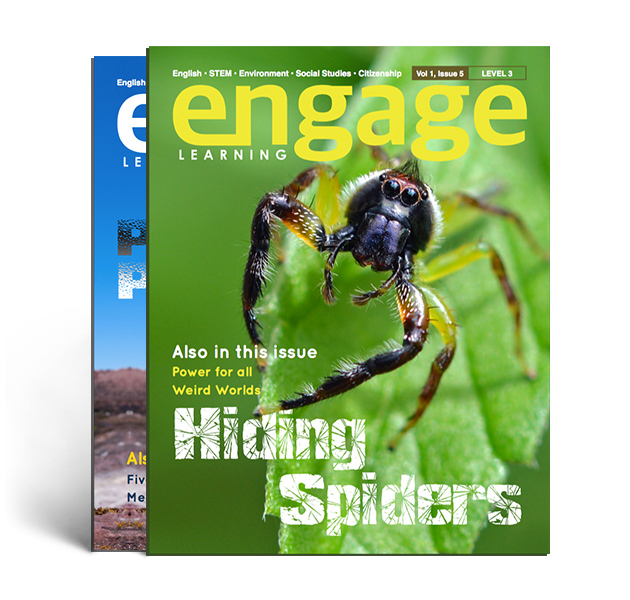 Engage Covers