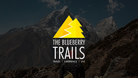 The Blueberry Trails Web Design & Development